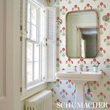 saranda-flower-5012410-3