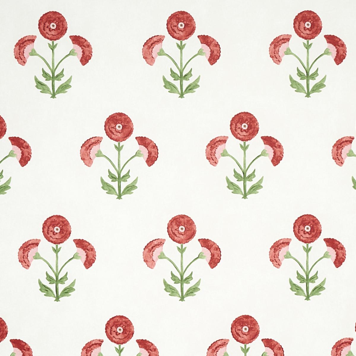 saranda-flower-5012410