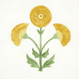 saranda-flower-5012411-2