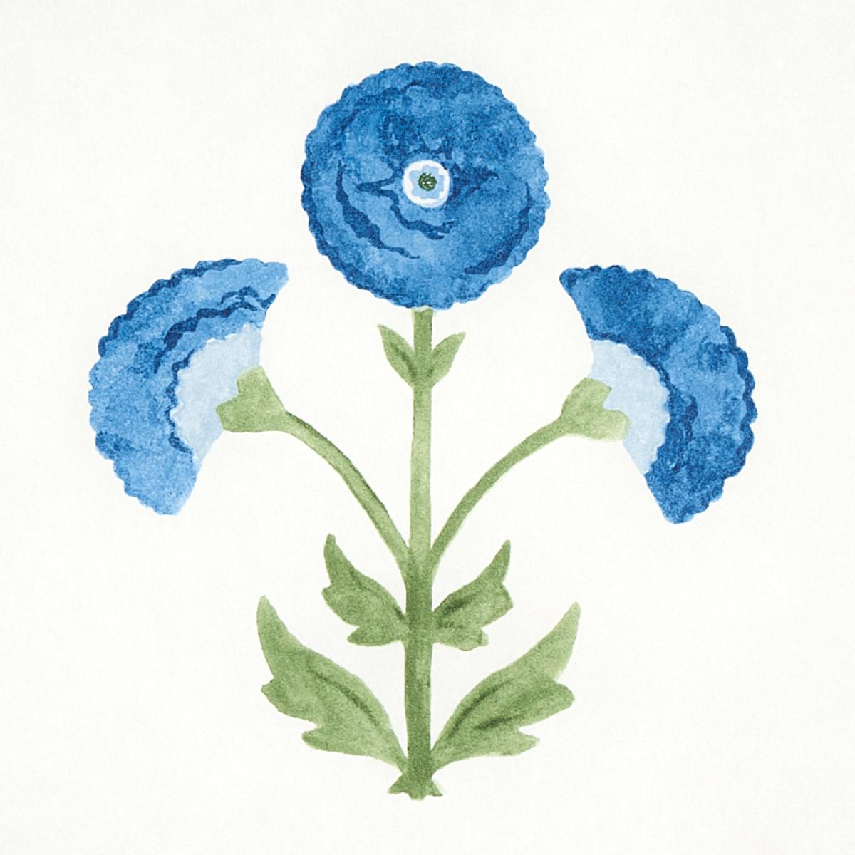 saranda-flower-5012412-2