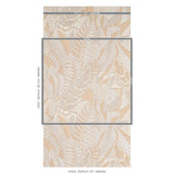 japura-forest-5012660-1