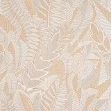 japura-forest-5012660
