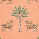 tiger-palm-5012920-3
