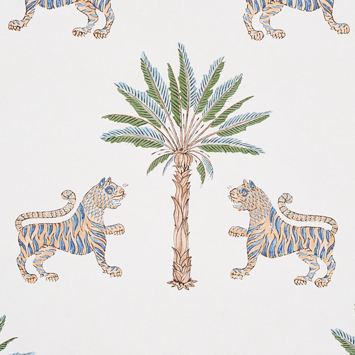 tiger-palm-5012921-2