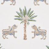 tiger-palm-5012921-2