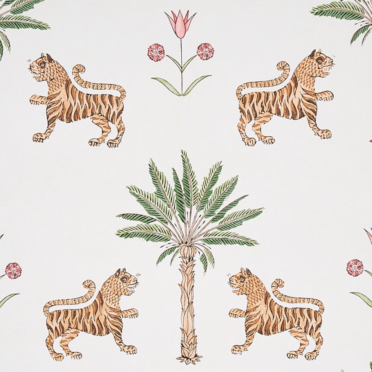 tiger-palm-5012922-2