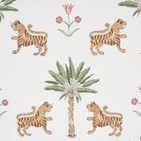 tiger-palm-5012922-2