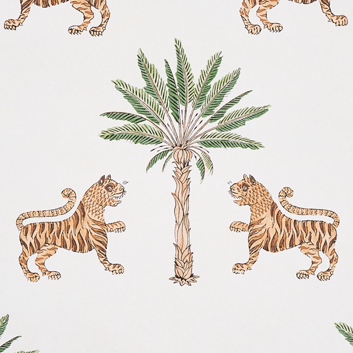 tiger-palm-5012922-3