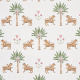tiger-palm-5012922