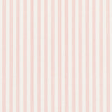 edwin-stripe-narrow-5013600