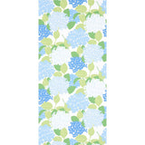 hydrangea-5013630-1