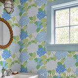 hydrangea-5013630-4