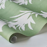white-lotus-5013660-3