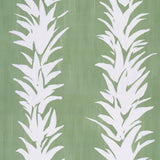 white-lotus-5013660
