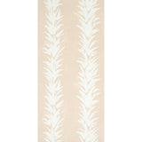 white-lotus-5013663-1