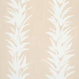 white-lotus-5013663