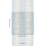 white-lotus-5013664-1