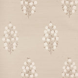 josepha-sisal-5013711