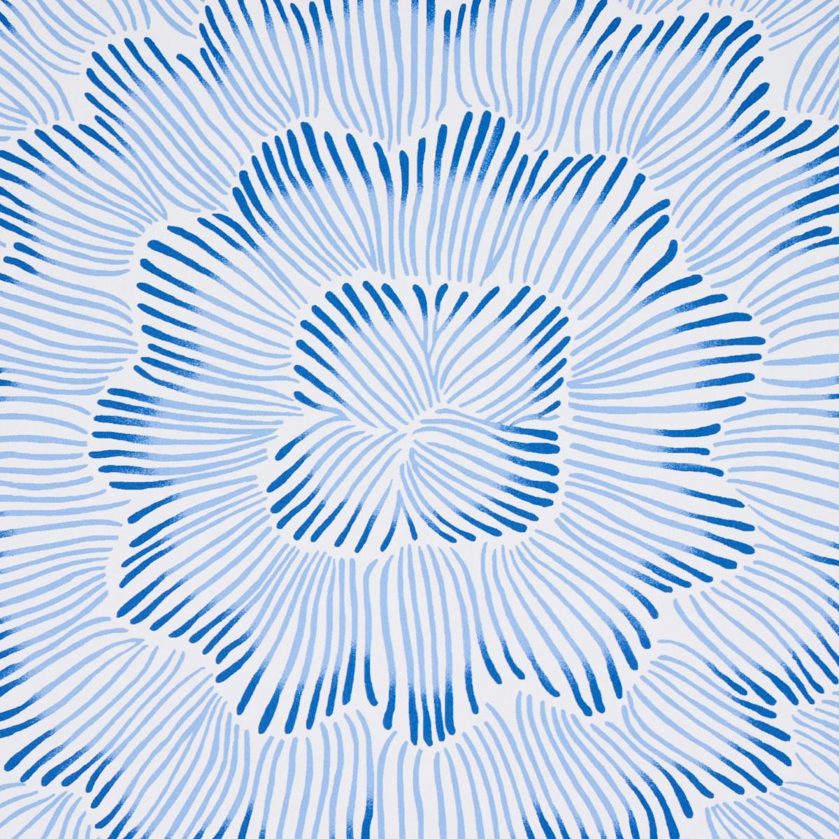 feather-bloom-5013820-2