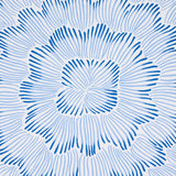 feather-bloom-5013820-2
