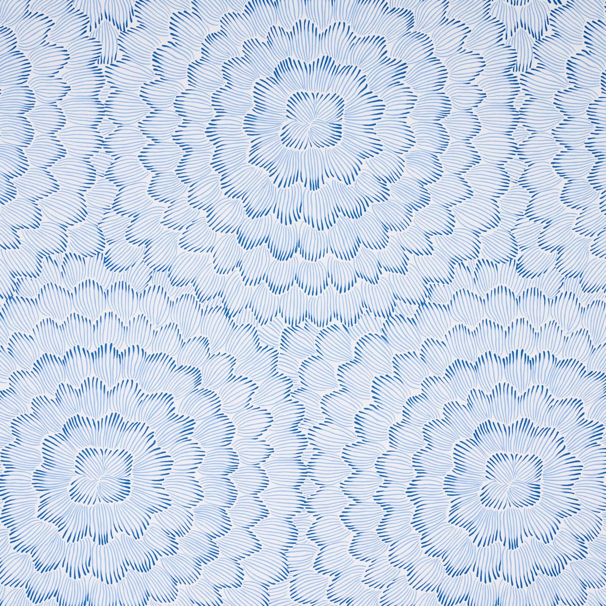 feather-bloom-5013820
