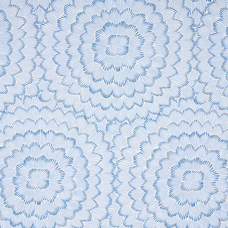 feather-bloom-5013820