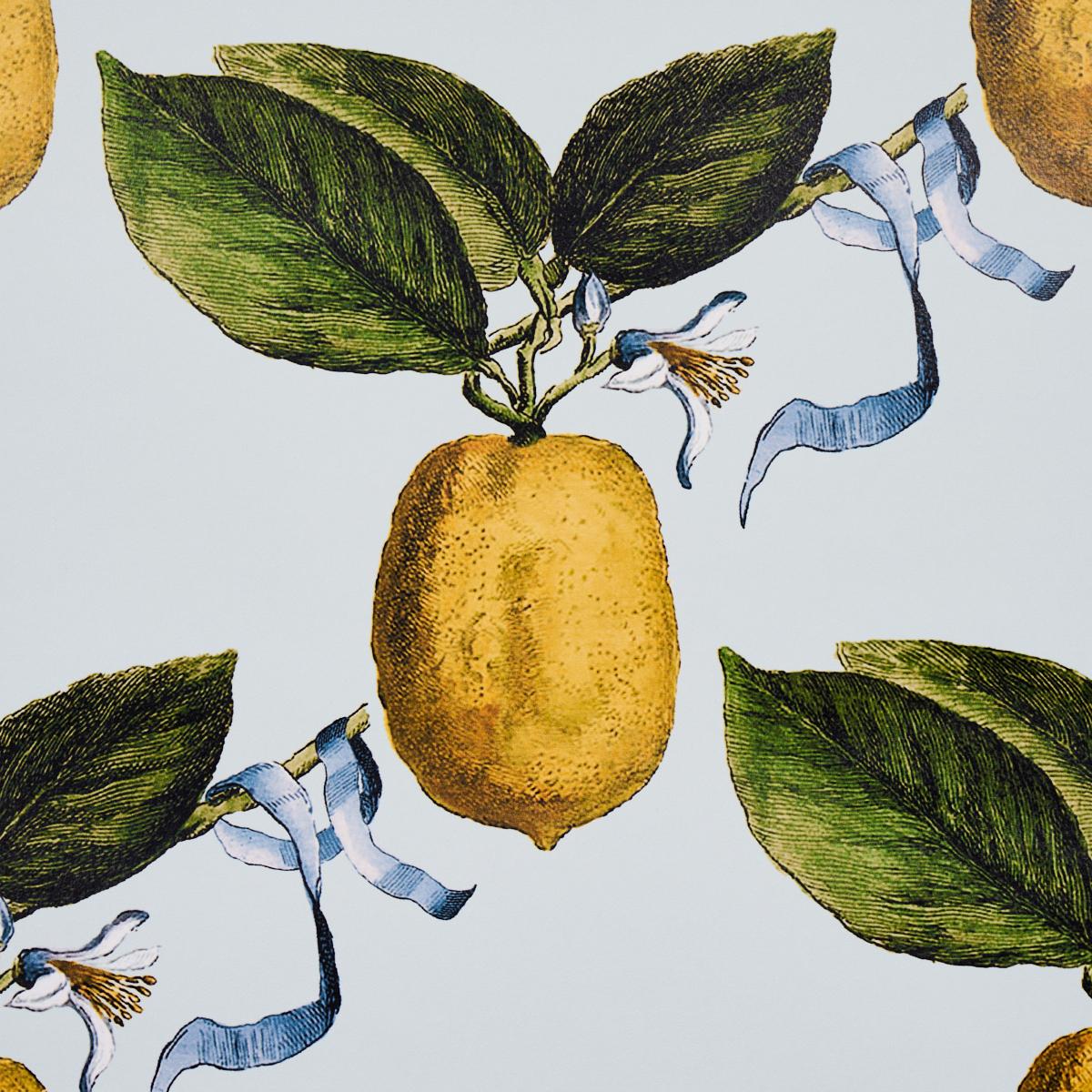 le-citron-5014281-2