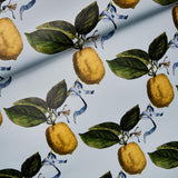 le-citron-5014281-3