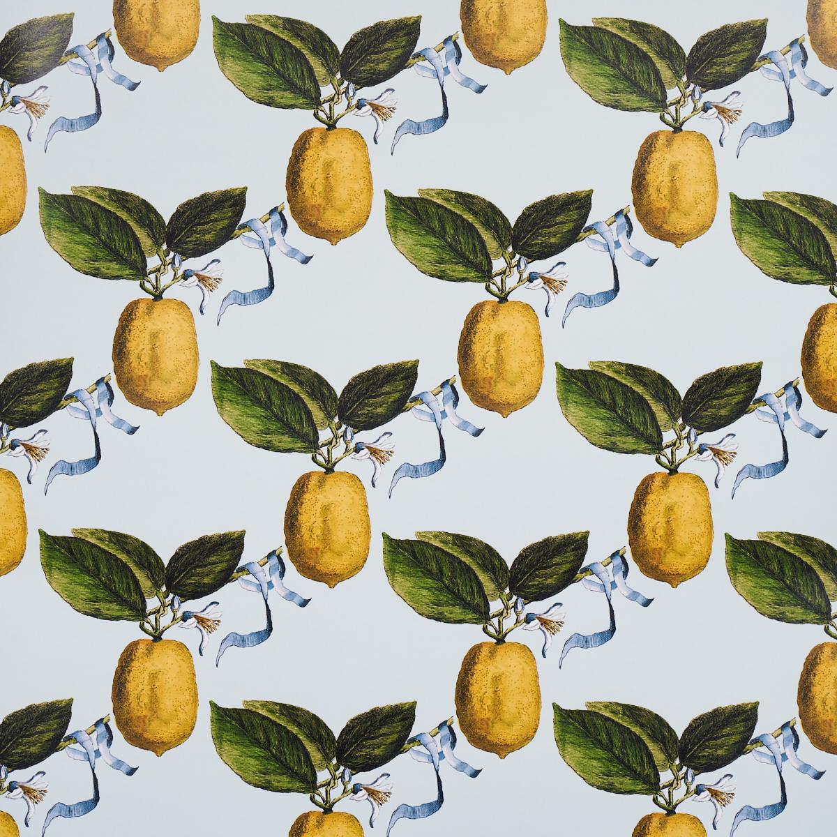 le-citron-5014281