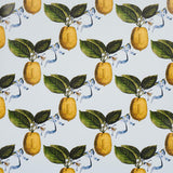 le-citron-5014281
