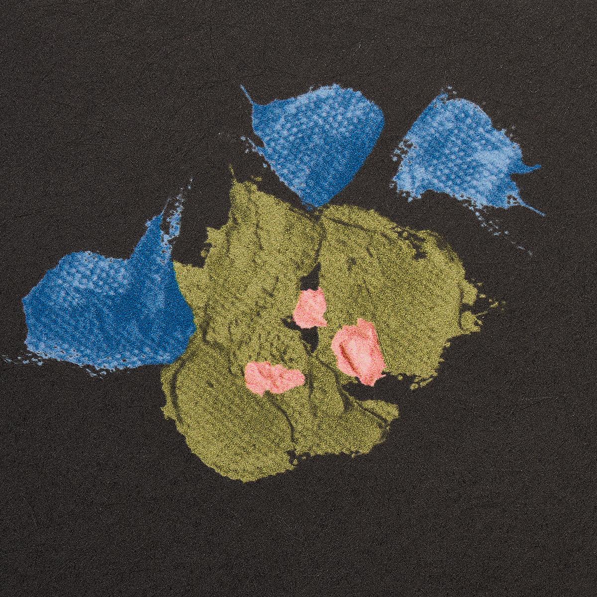 fairfarren-5014883-2