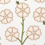 gardenia-5014920-2