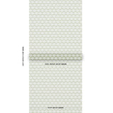 pollen-5014962-1