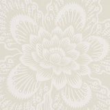 hothouse-flowers-silhouette-5015320-2