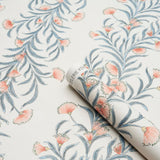 tasmanian-mimosa-5015360-3