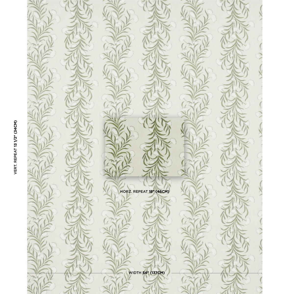 tasmanian-mimosa-5015362-1