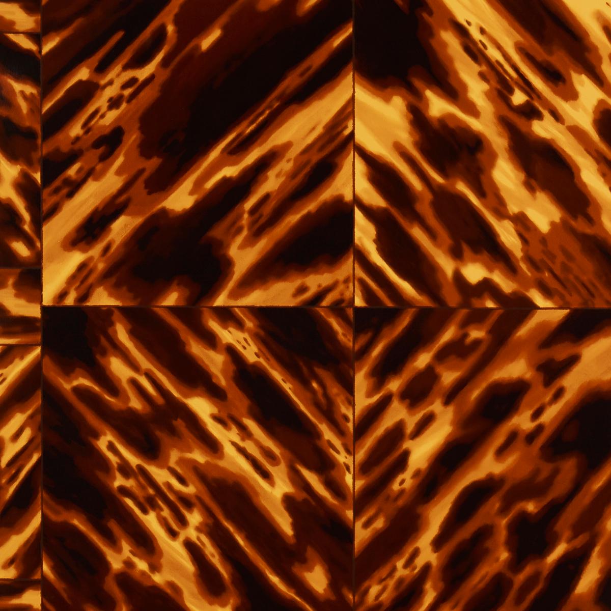 tortoise-shell-5015370