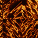 tortoise-shell-5015370