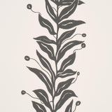 tendril-stripe-5015490-2