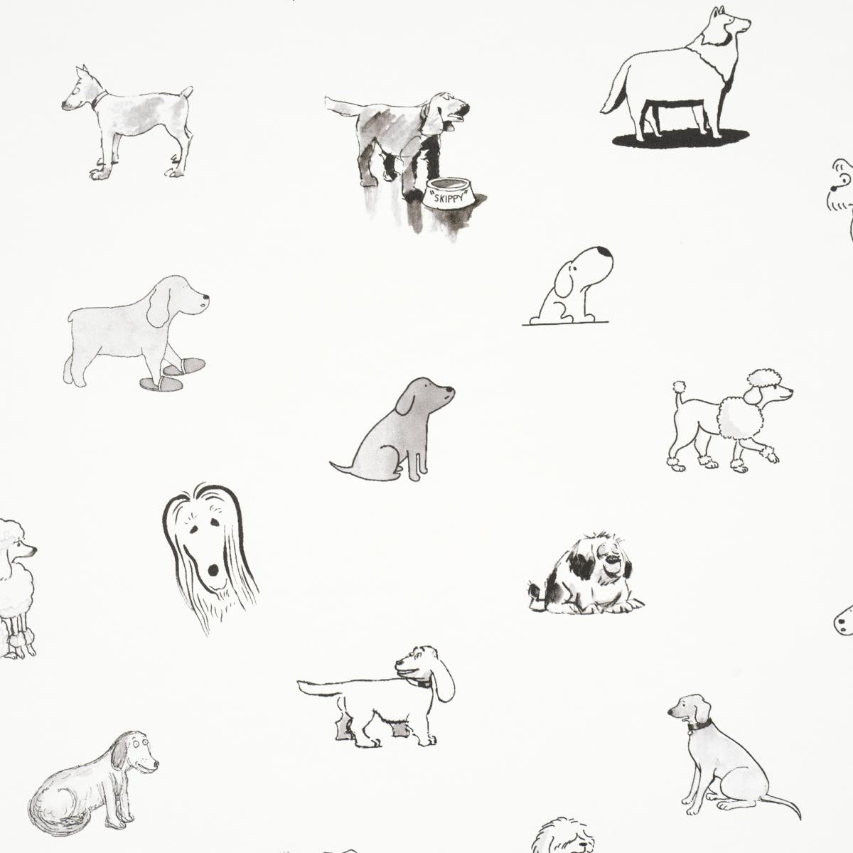 good-dogs-everywhere-5016130-2
