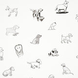 good-dogs-everywhere-5016130-2