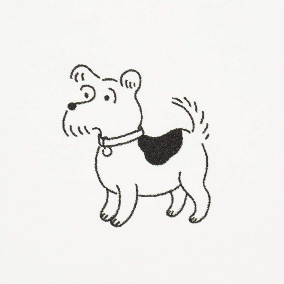 good-dogs-everywhere-5016130-5