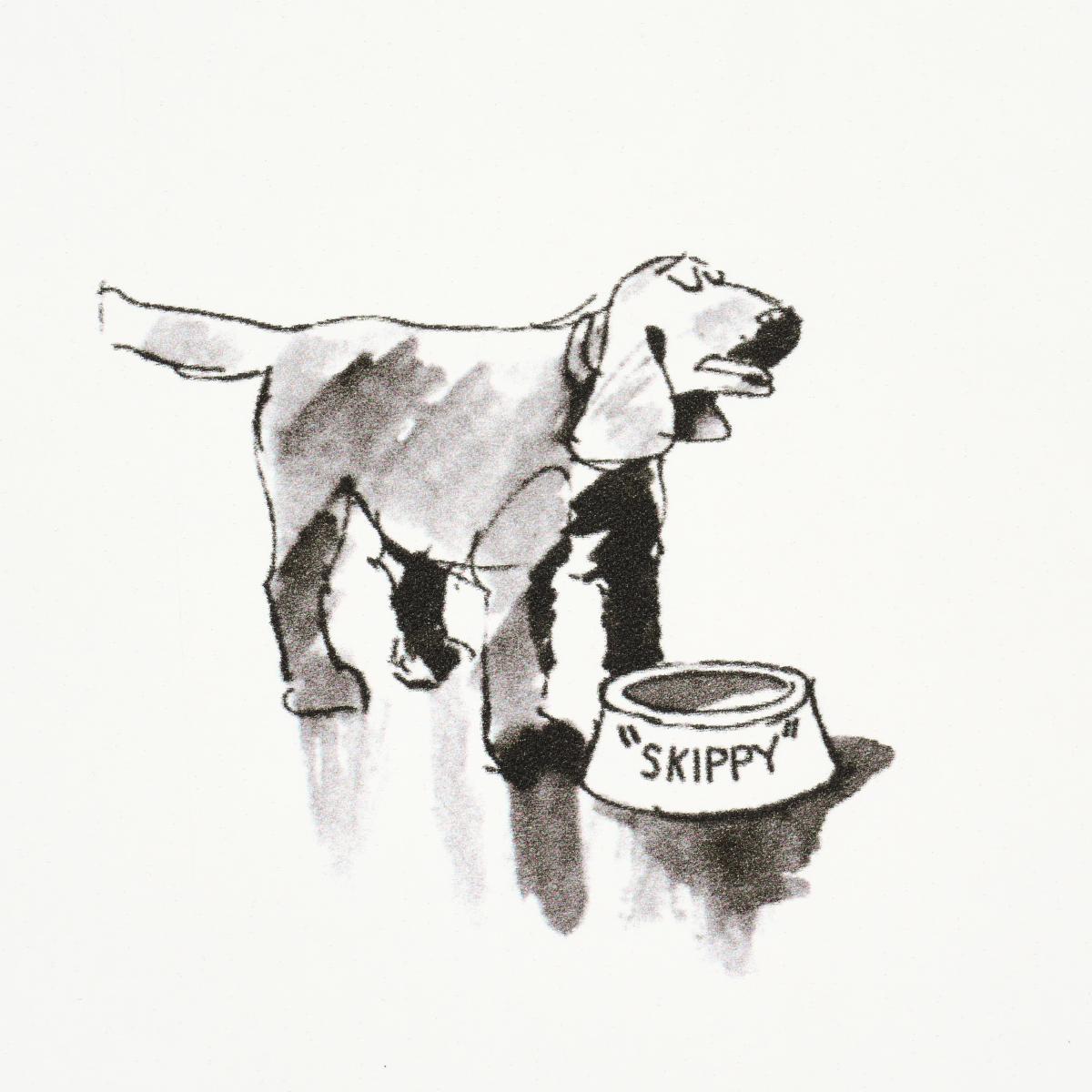 good-dogs-everywhere-5016130-6