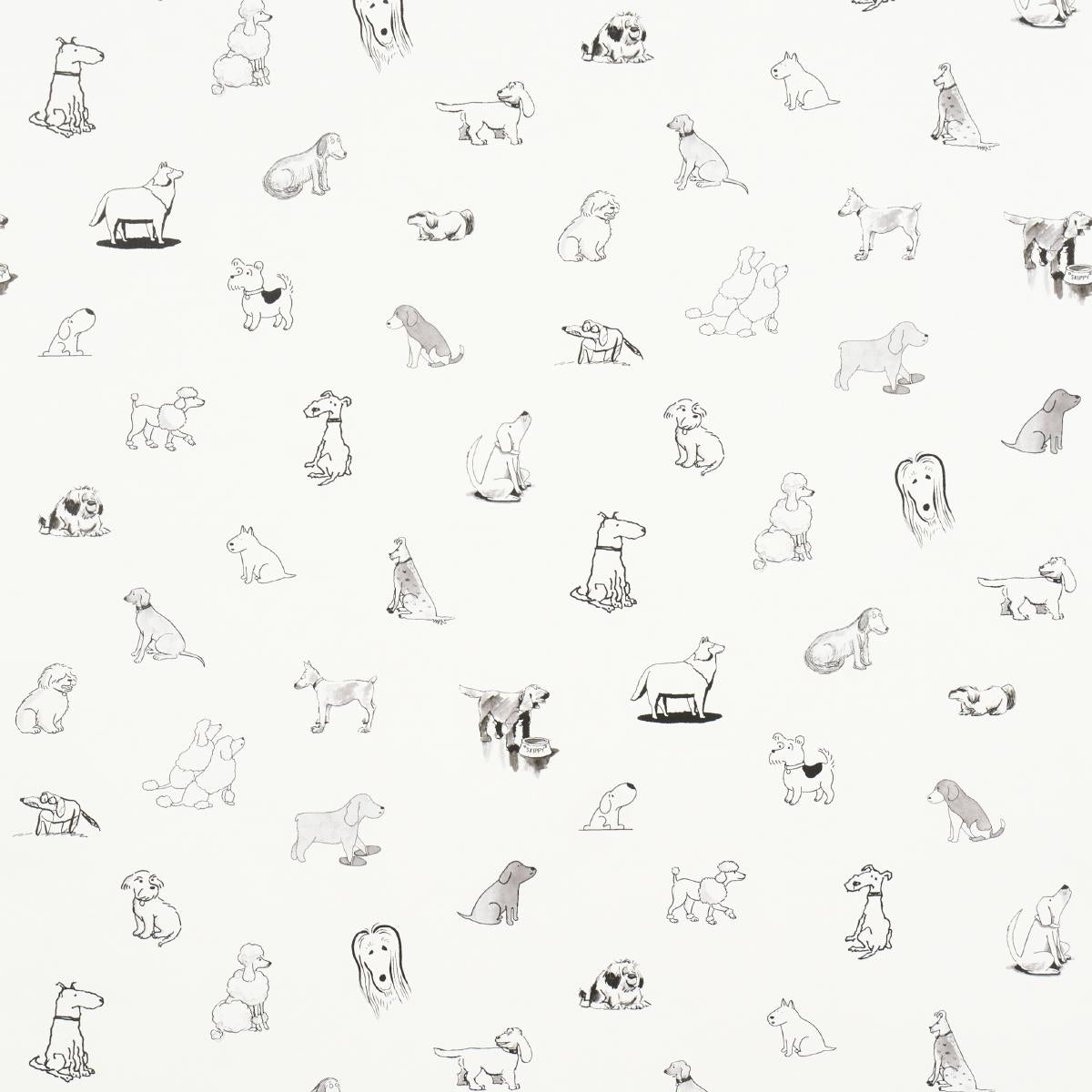 good-dogs-everywhere-5016130