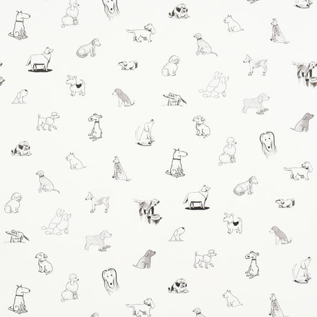 good-dogs-everywhere-5016130