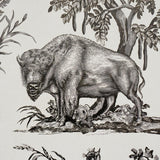 western-toile-5016440-4