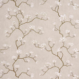 magnolia-tree-5016931