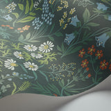 flora-5474-1