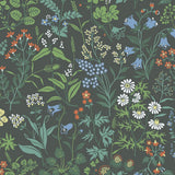 flora-5474