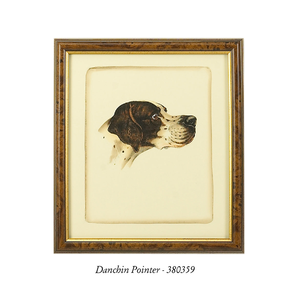 Danchin Setter